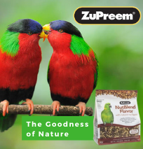 Birds to be kept in cages or not to be